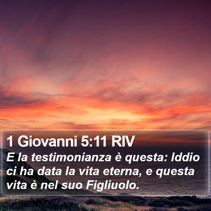 1 Giovanni 5:11 RIV Bible Study