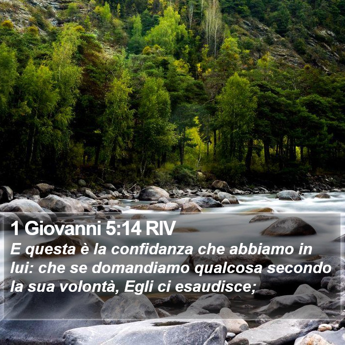 1 Giovanni 5:14 RIV Bible Study