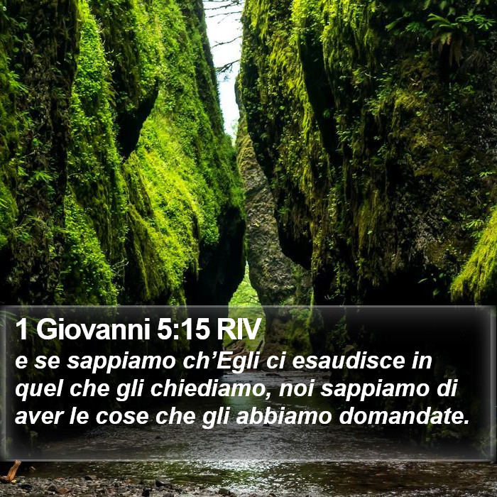 1 Giovanni 5:15 RIV Bible Study