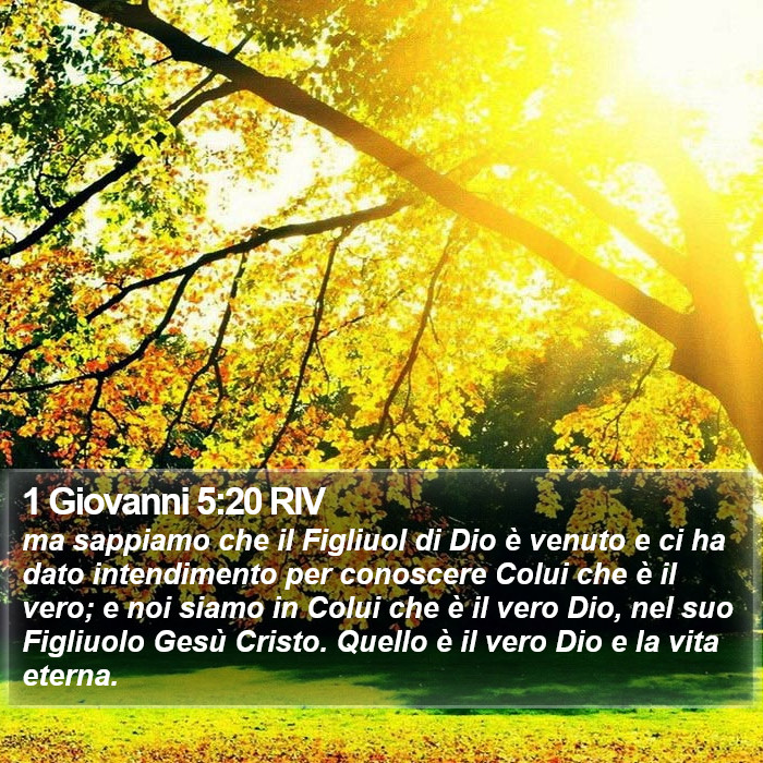 1 Giovanni 5:20 RIV Bible Study