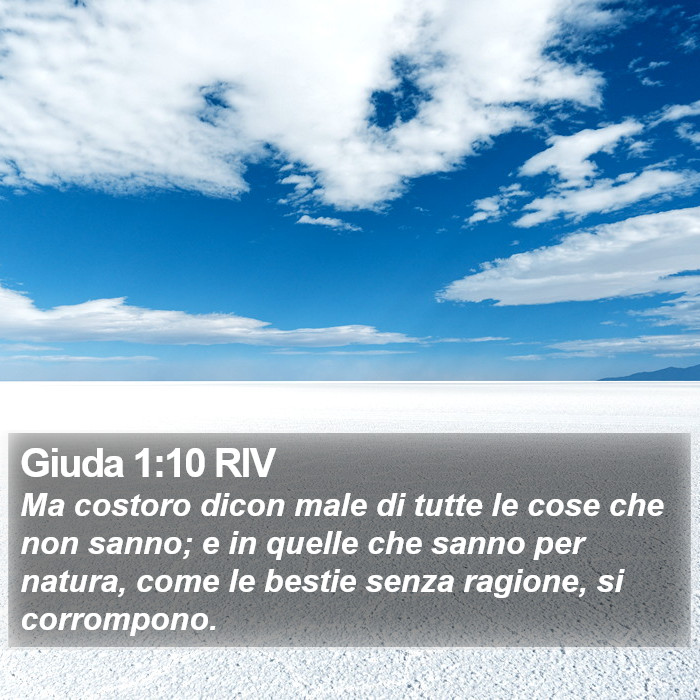 Giuda 1:10 RIV Bible Study