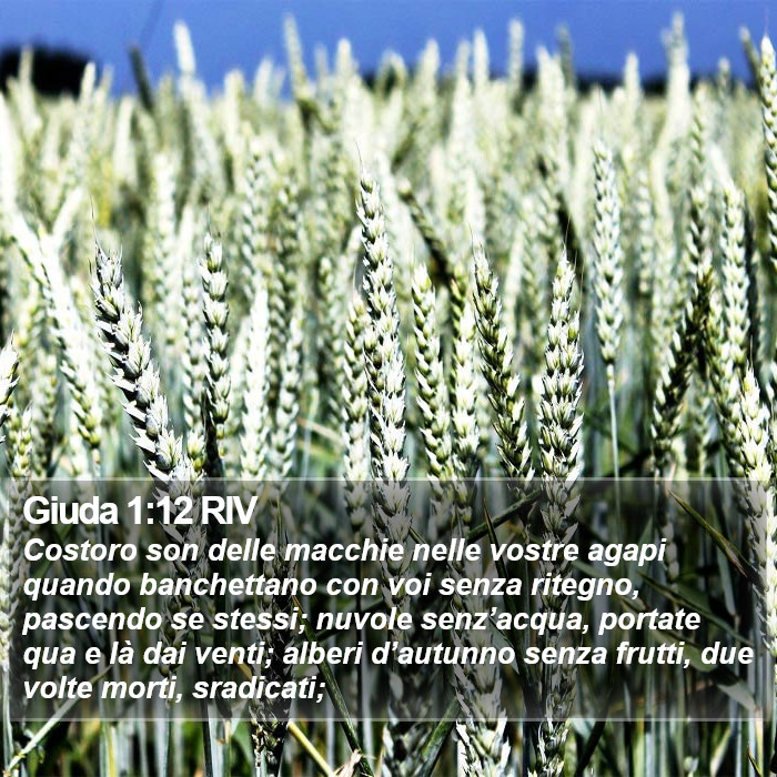 Giuda 1:12 RIV Bible Study