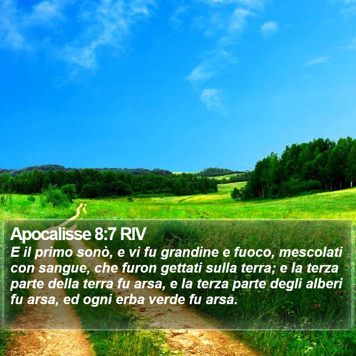 Apocalisse 8:7 RIV Bible Study