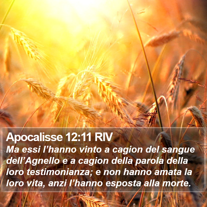 Apocalisse 12:11 RIV Bible Study