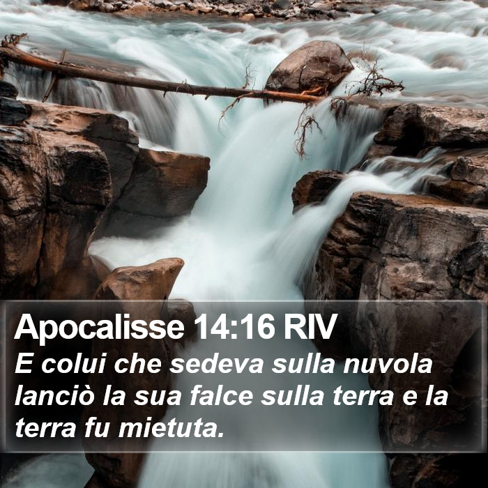 Apocalisse 14:16 RIV Bible Study