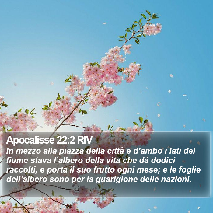 Apocalisse 22:2 RIV Bible Study